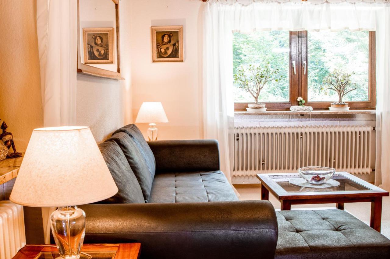 Apartments Haus Martin بايريش أيزنشتاين المظهر الخارجي الصورة