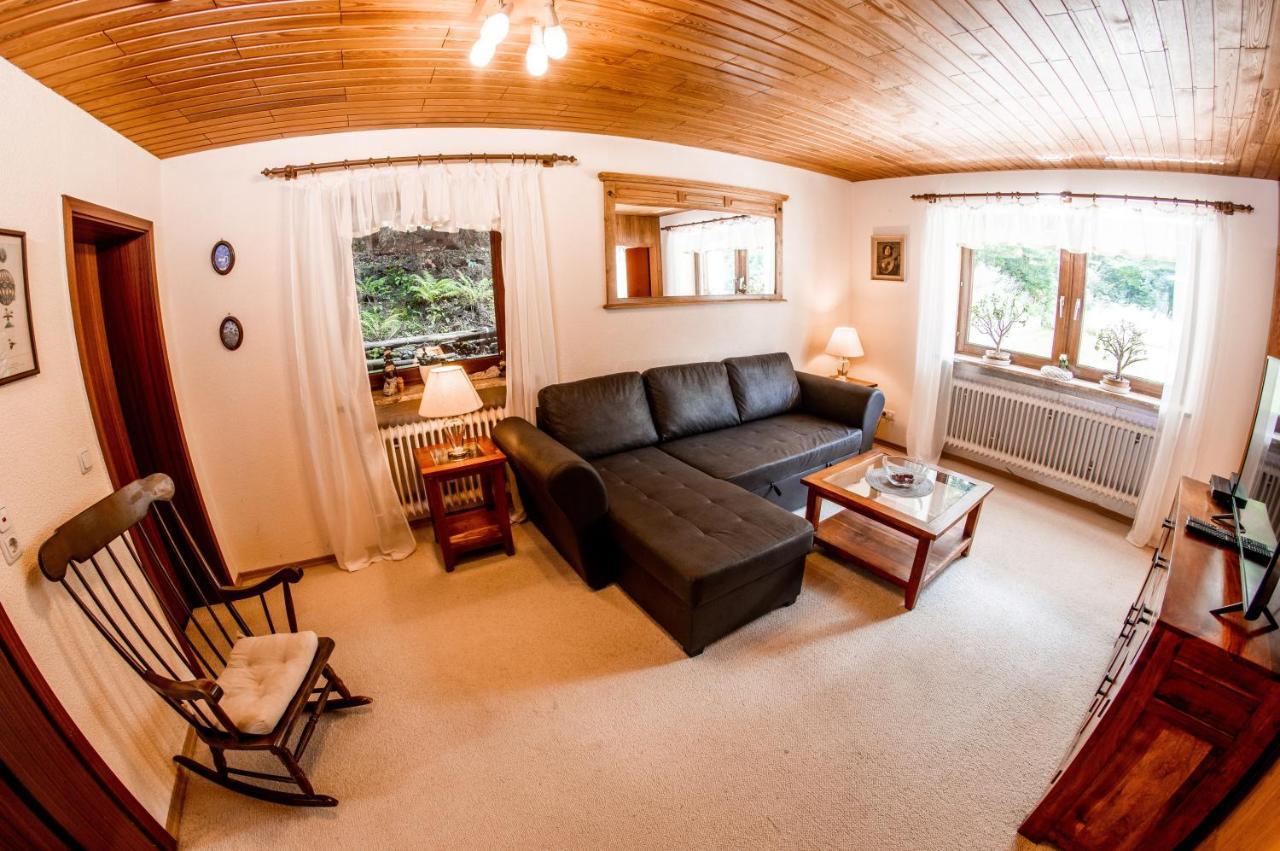 Apartments Haus Martin بايريش أيزنشتاين المظهر الخارجي الصورة